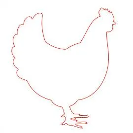 rysunek kurczaka
